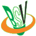 BSV Logo